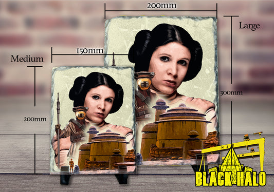 Star Wars inspired Princess Leia: Boushh artwork on Solid Rock Slate